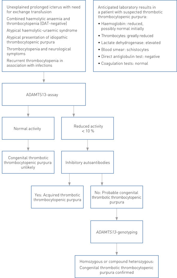 Figure 2 Conditions that should prompt assessment for thrombotic thrombocytopenic purpura, and an algorithm for use in the…