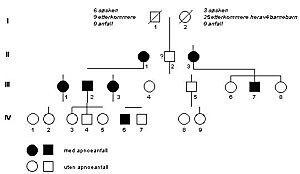  Figur 1    Apnéanfall i en familie, 1931 – 99, 20 etterkommere, sju med anfall