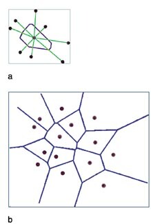 Figur 7    Konstruksjon av Voronoi-diagrammet. Ett enkelt Voronoi-polygon (a) er definert ved normalene til de linjer som…