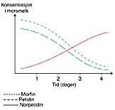 Figur 1   Skjematisk fremstilling av konsentrasjonen av morfin samt petidin og den aktive petidinmetabolitten norpetidin i…