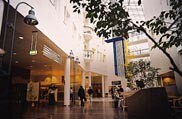 Figur 11    Hovedkorridor med Syden-konnotasjoner ved det nye Rikshospitalet i Oslo. Foto Ø. Larsen 2000