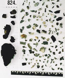 Figur 3 Sorteringsarbeidet avdekker knokkel- og muskelfragmenter samt noen eiendeler av metall
