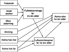  Figur 2    Den estimerte fulle modellen for astma. Modellen inneholder kun stier som var signifikante på 5 %-nivå