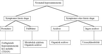 Figur 1  Forslag til flytskjema ved hyperammonemi i neonatalperioden (10)