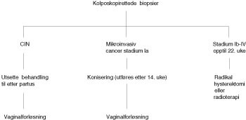 Figur 1  Behandling av cervikal intraepitelial neoplasi (CIN) og invasiv cervixcancer i graviditet. Modifisert etter Disaia …