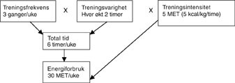 Figur 1   Beregning av energiforbruk, uttrykt ved den metabolske enhet MET/uke (19) (5 kcal = 20,8J)