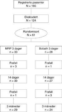 Figur 1   Totalt antall pasienter og frafall i studien fra test 1 (tre dager etter akutt hjerneslag) til test 3 (tre måneder…