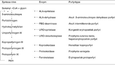 Figur 1 Syntesetrinn for hem, med angivelse av de porfyrityper som opptrer ved svikt i de ulike enzymene. Merk negativ…