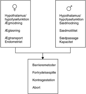 Figur 1   Interventionsmuligheder