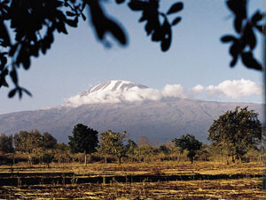 Kilimanjaro, sett fra Frihetens Herberge. Fra Moshi, der bildet er tatt, til toppen, er det en høydeforskjell på 5 000 m