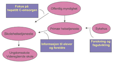 Figur 1  Ansvarslinjer i den forebyggende del av hepatitt C-omsorgen