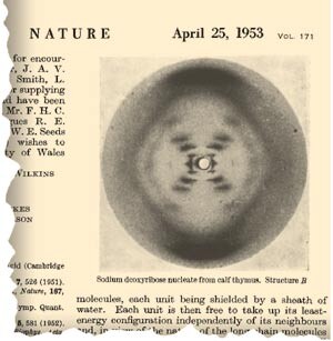 Faksimile fra Franklin & Goslings artikkel i Nature med det berømte bildet av den såkalte B-formen av DNA.