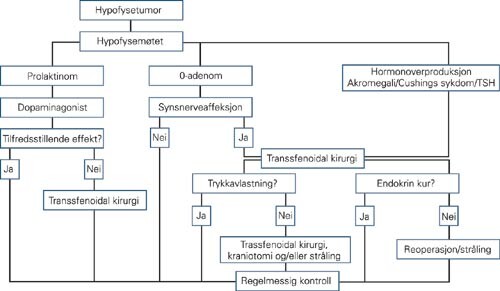 Flytskjema for behandling av hypofyseadenomer. Skjemaet er noe forenklet, men vil gjelde for de fleste pasienter…