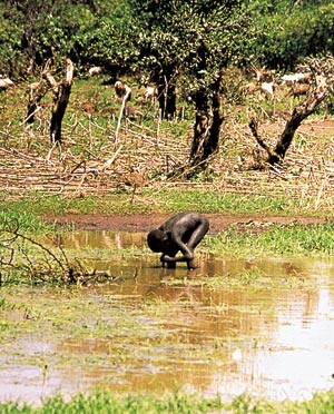 Et barn i Sudan bruker filteret han fikk flere måneder tidligere, som han kan ha med seg også under flukt og på tross av…