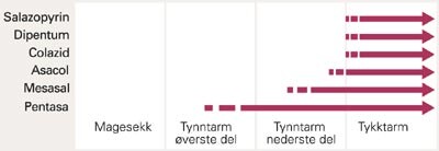 Frigjøringssted for de forskjellige 5-aminosalisylsyre forbindelsene