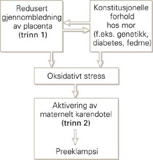 Det er antatt at preeklampsi utvikler seg som resultat av en totrinnsprosess (3). Placentasykdom med redusert…