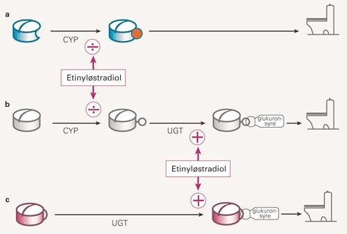 Hovedtyper av metabolisme av legemidler og antatt effekt av etinyløstradiol. CYP: Cytokrom P-450-systemet; UGT:…