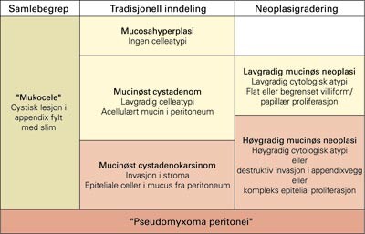 Mucinøse lesjoner i appendix
