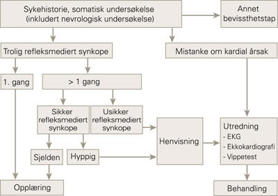 Flytskjema til utredning av barn og unge voksne med synkope