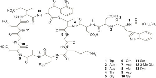Strukturformel for daptomycin