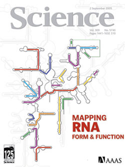Artikkelen ble 5.5. 2006 publisert i det prestisjetunge tidsskriftet Science (www.sciencemag.org). Gjengitt med tillatelse. …