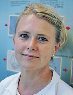 Liv Bente Romundstad. Foto Pål R. Romundstad