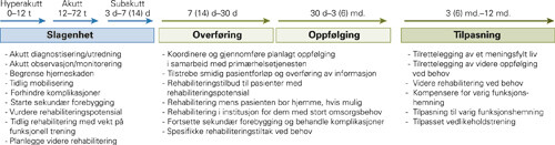 En slagbehandlingskjede med oversikt over behov for rehabilitering i de ulike tidsfaser etter hjerneslaget