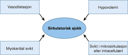 Figur 1  Sirkulasjonssvikt ved systemisk inflammatorisk respons-syndrom (SIRS) – en sammensatt tilstand