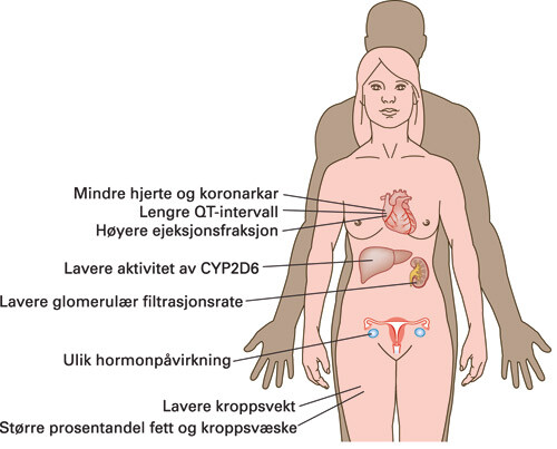 Figur 1  Biologiske kjønnsforskjeller