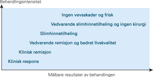 Figur 1  M&aring;l for behandling ved Crohns sykdom