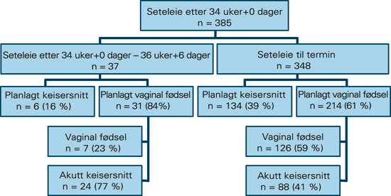 Figur 1  Fordeling av 385 seteleier ut fra planlagt fødselsmetode