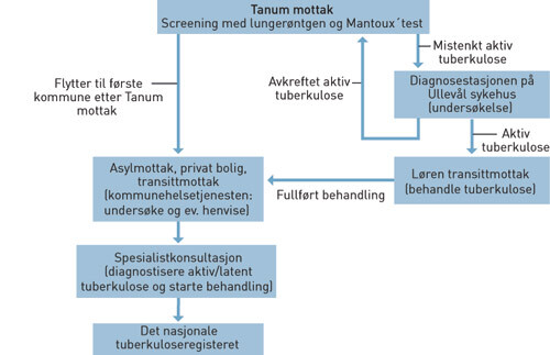 Figur 1  Screening av asylsøkere for tuberkulose. Dette var flyten ved undersøkelsestidspunktet