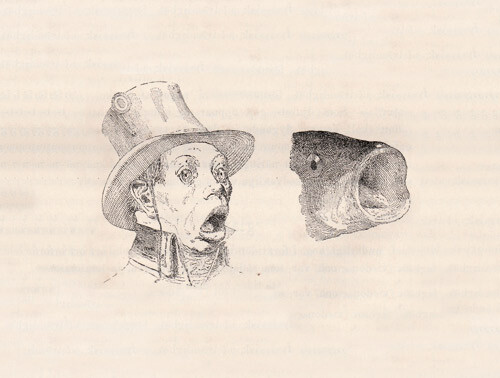 Fig. 1.  Fysiognomi under p&aring;virkning av flo m&aring;l. Marin type.
