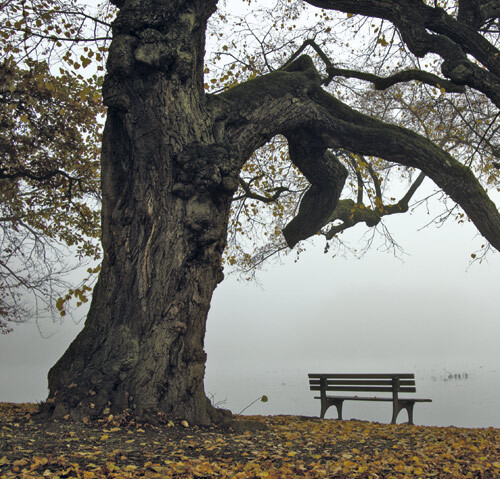 Illustrasjonsfoto Istockphoto