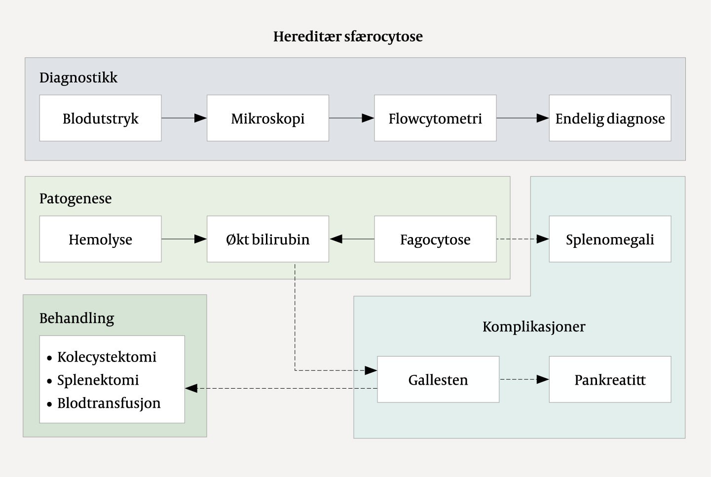 Figur 5 Skjematisk fremstilling av årsak til og utredning og behandling av gallestenssykdom ved hereditær sfærocytose.