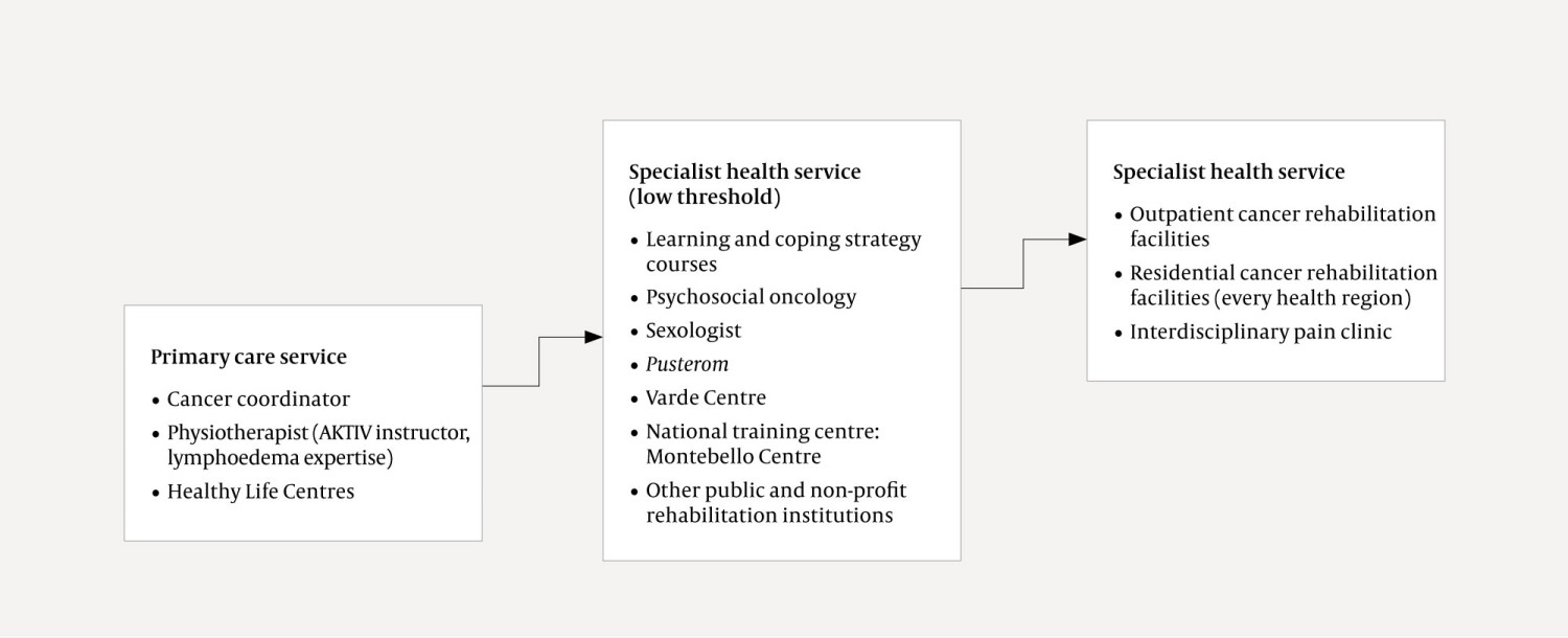 Figure 1 Provision for breast cancer survivors. Stage 1 is the primary care service, stages 2 and 3 the specialist health…