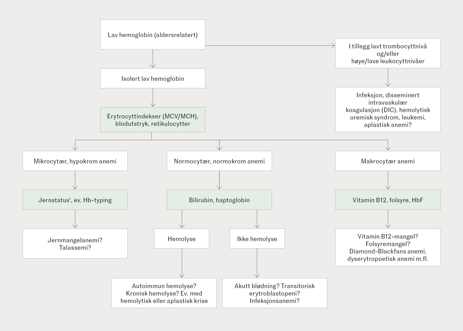 Figur 1 En forenklet oversikt over akutt anemiutredning hos barn. Reprodusert med tillatelse fra forfattere fra…