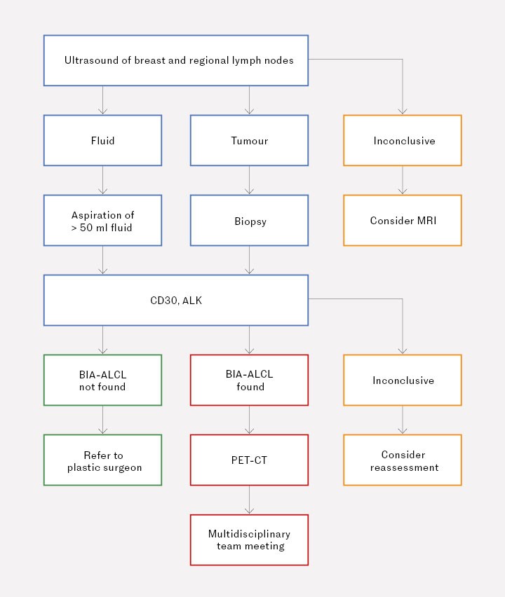 Figure 2 Flowchart for the diagnosis of suspected BIA-ALCL. The figure is based on the National Comprehensive Cancer Network…