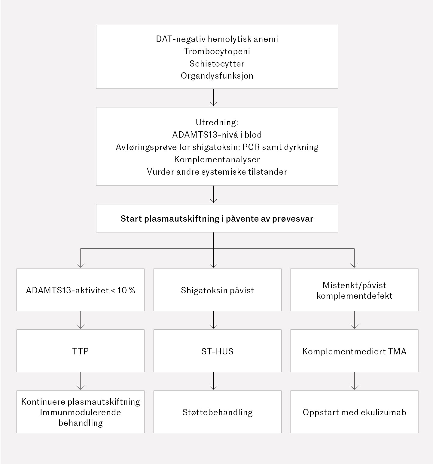 Figur 2 Flytskjema for utredning av trombotisk mikroangiopati (TMA) (2, 3, 12). ADAMTS13 – a disintegrin and metalloprotease…
