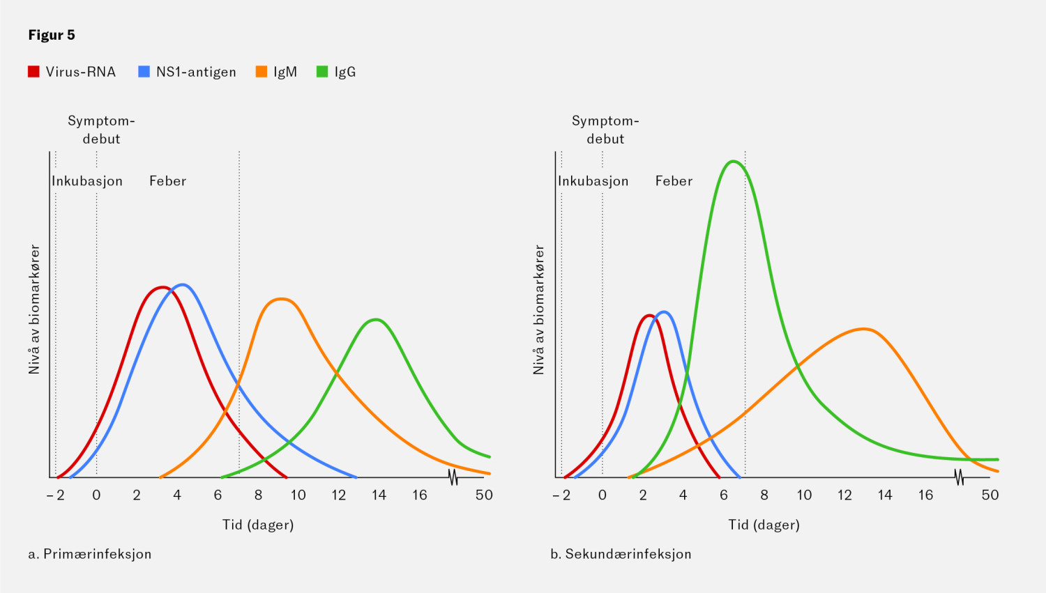 Figur 5 Tidsvindu for ulike diagnostiske tester ved prim&aelig;r og sekund&aelig;r denguevirusinfeksjon.