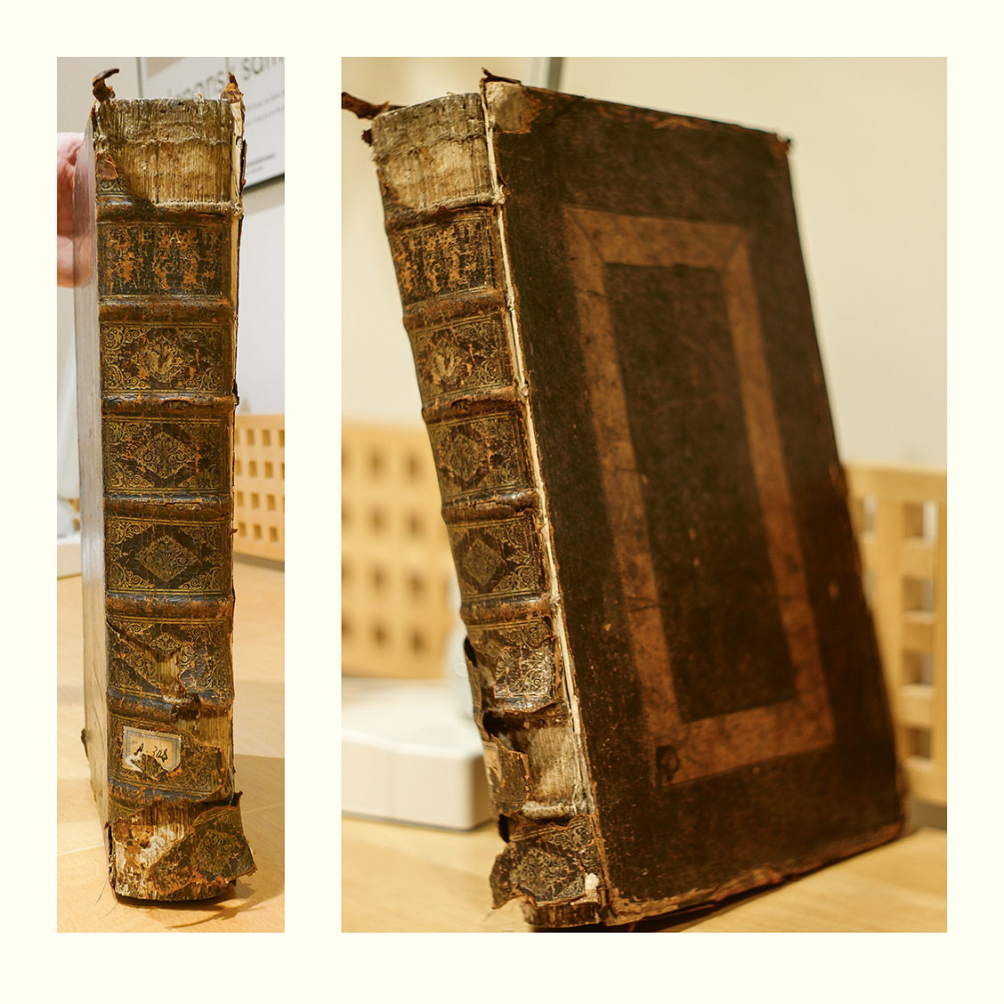 Figure 1 Norway's only copy of De Humani Corporis Fabrica from 1543. There is some damage to the spine. At the bottom, a&hellip;