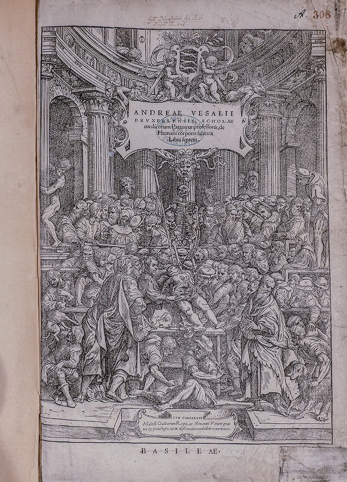 Figure 2 The book's title page. In the centre is the Department of Anatomy's stamp dated 6&nbsp;June 1883. The title page of the&hellip;