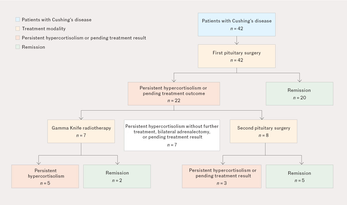 Figure 1 Flowchart showing the choice of treatment modalities and treatment outcomes. The figure illustrates only initial…