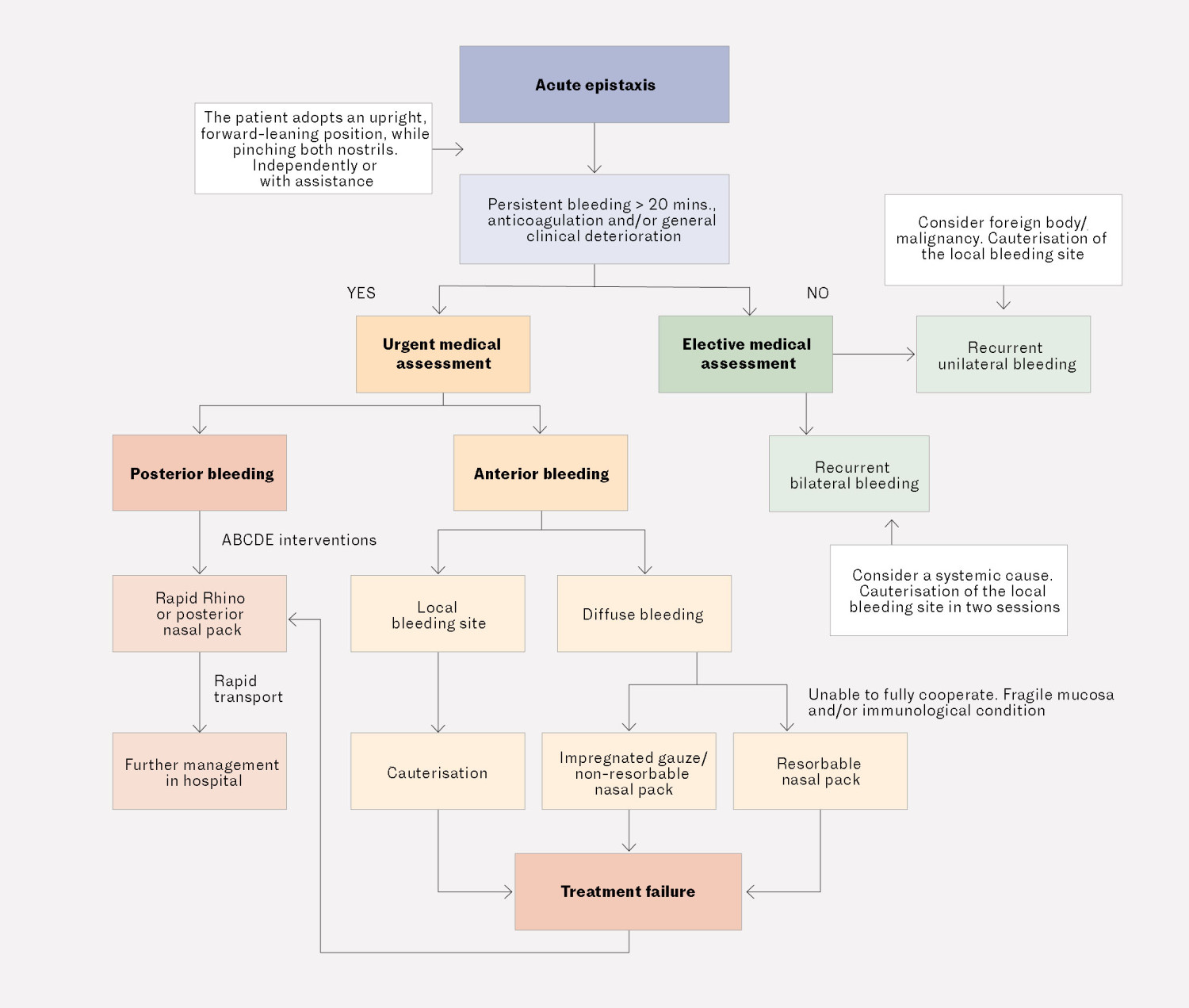 Figure 2 Prehospital decision-making algorithm for acute epistaxis.