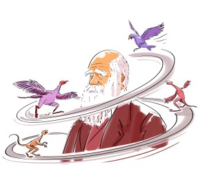 Da Darwin lanserte utviklingslæren, var dette ifølge vitenskapshistorikeren Thomas S. Kuhn et paradigmeskifte. Uttrykkene…