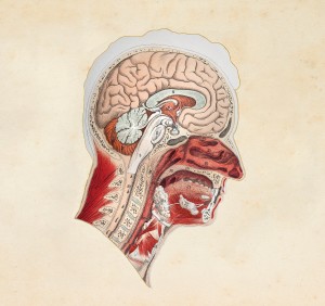 Illustrasjon: Grafissimo/iStock