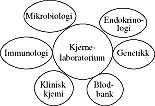  Figur 3    Modell av det integrerte laboratorium. Enheter for mikrobiologi, immunologi, klinisk kjemi, blodbank, genetikk…