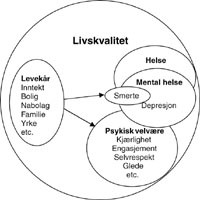 Figur 2   Forholdet mellom betegnelsene ”levekår”, ”helse” og ”livskvalitet”, slik andre har brukt betegnelsene