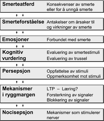 Figur 1   En integrert modell som viser hvordan fysiologiske og psykologiske mekanismer er tett sammenvevet i smerter. LTP =…