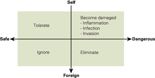 Figure 2  In the polarisation between «self» and «foreign» and the continuum of experience from «safe» to «dangerous» the…